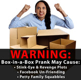 Box in a Box Prank Gag Gift